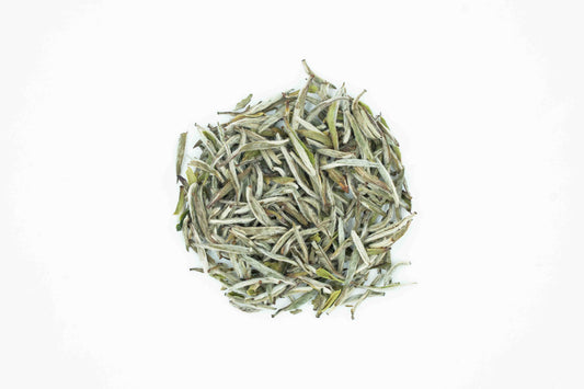 White Silver Needle (Bai Hao Yin Zhen)