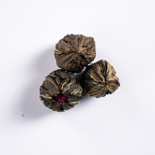 Ceylon Blooming Flower