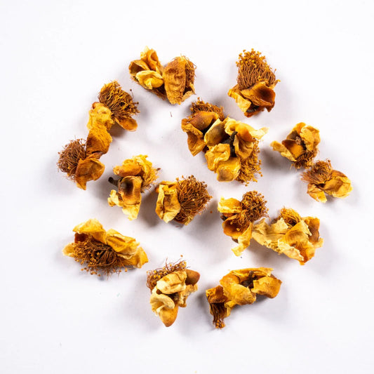 Ceylon Tea Flower